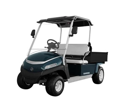 Suure võimsusega golfikäru